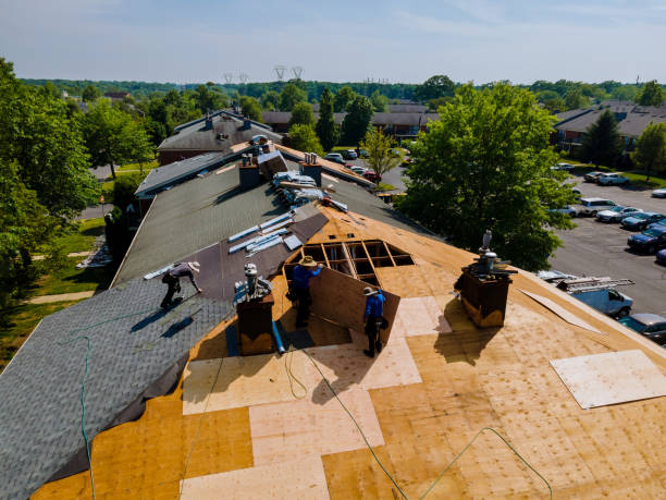 Best Storm Damage Roof Repair  in Kalispell, MT
