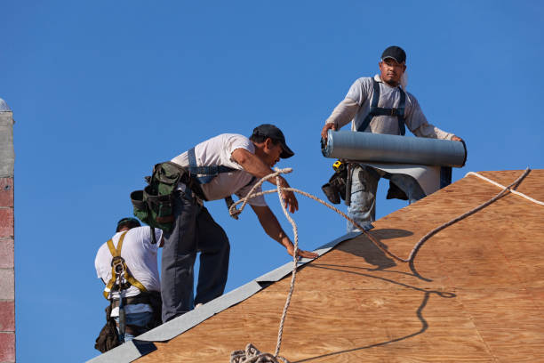 Best Best Roofing Contractors  in Kalispell, MT