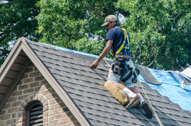 Best Roof Waterproofing Services  in Kalispell, MT